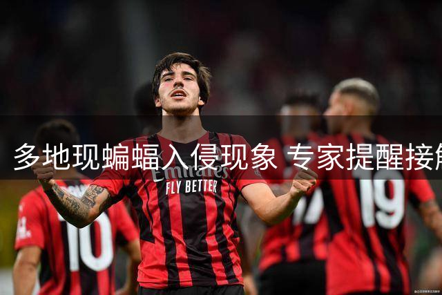 多地现蝙蝠入侵现象 专家提醒接触风险